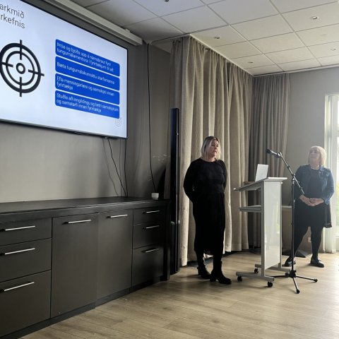 Þórunn Grétarsdótti, fagstjóri námsbrauta og þróunar