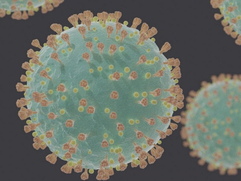 Mynd: Wiki commons. Sótt af www.ruv.is 12.03.2020