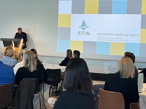 Starfsfólk Mímis á afmælisráðstefnu starfsmenntasjóða